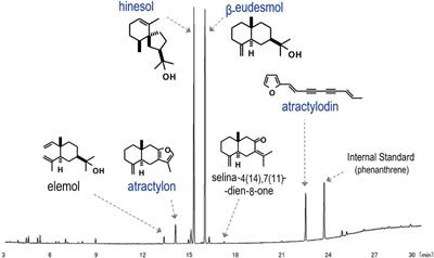 Diverse Intercropping Patterns Enhance the Productivity and Volatile Oil Yield of Atractylodes lancea (Thunb.) DC.